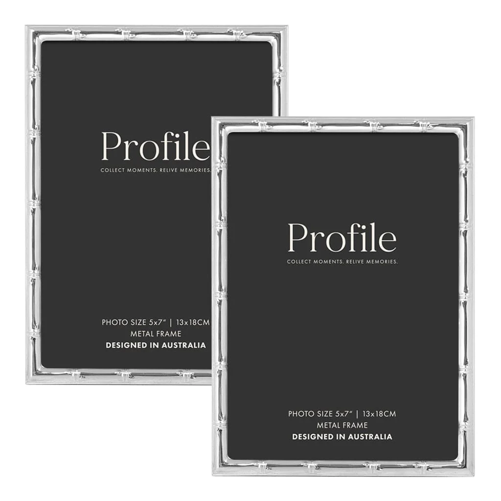 Bamboo Silver Metal Frame Value Pack 5x7 (2 pack bundle)