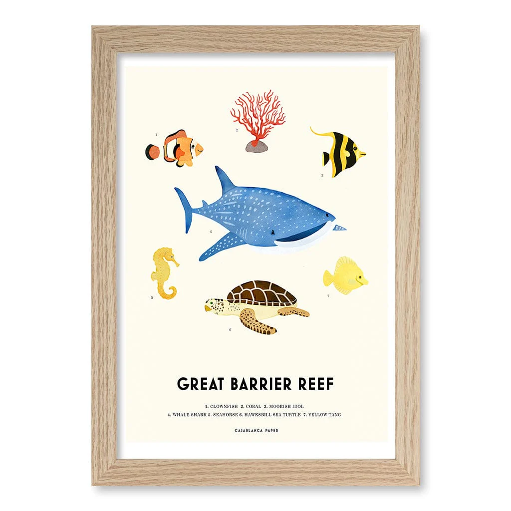Barrier Reef Sealife Kids Educational Wall Art Print - Image 13