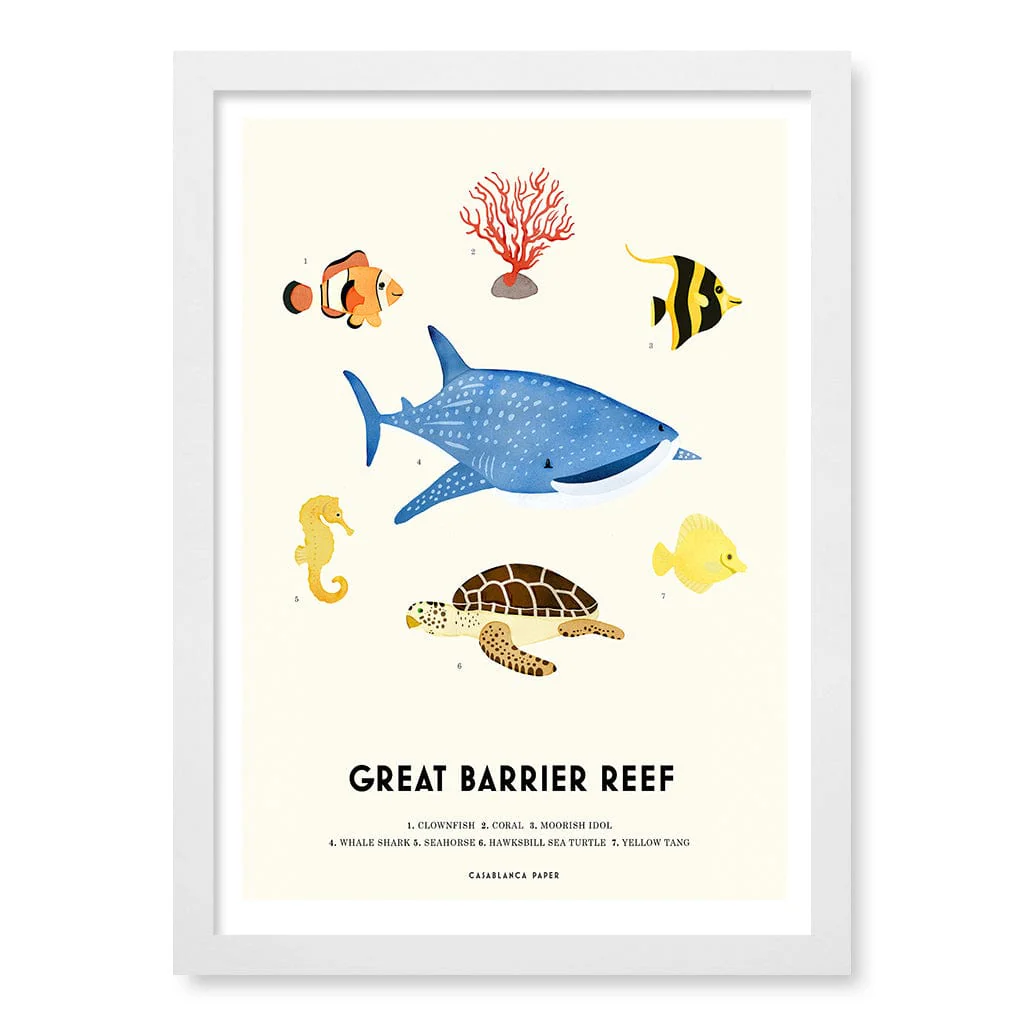 Barrier Reef Sealife Kids Educational Wall Art Print - Image 17