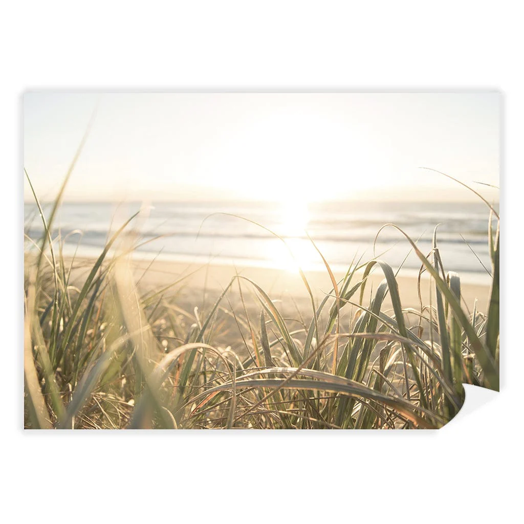 Beach Grass Sunset Wall Art Print - Image 10