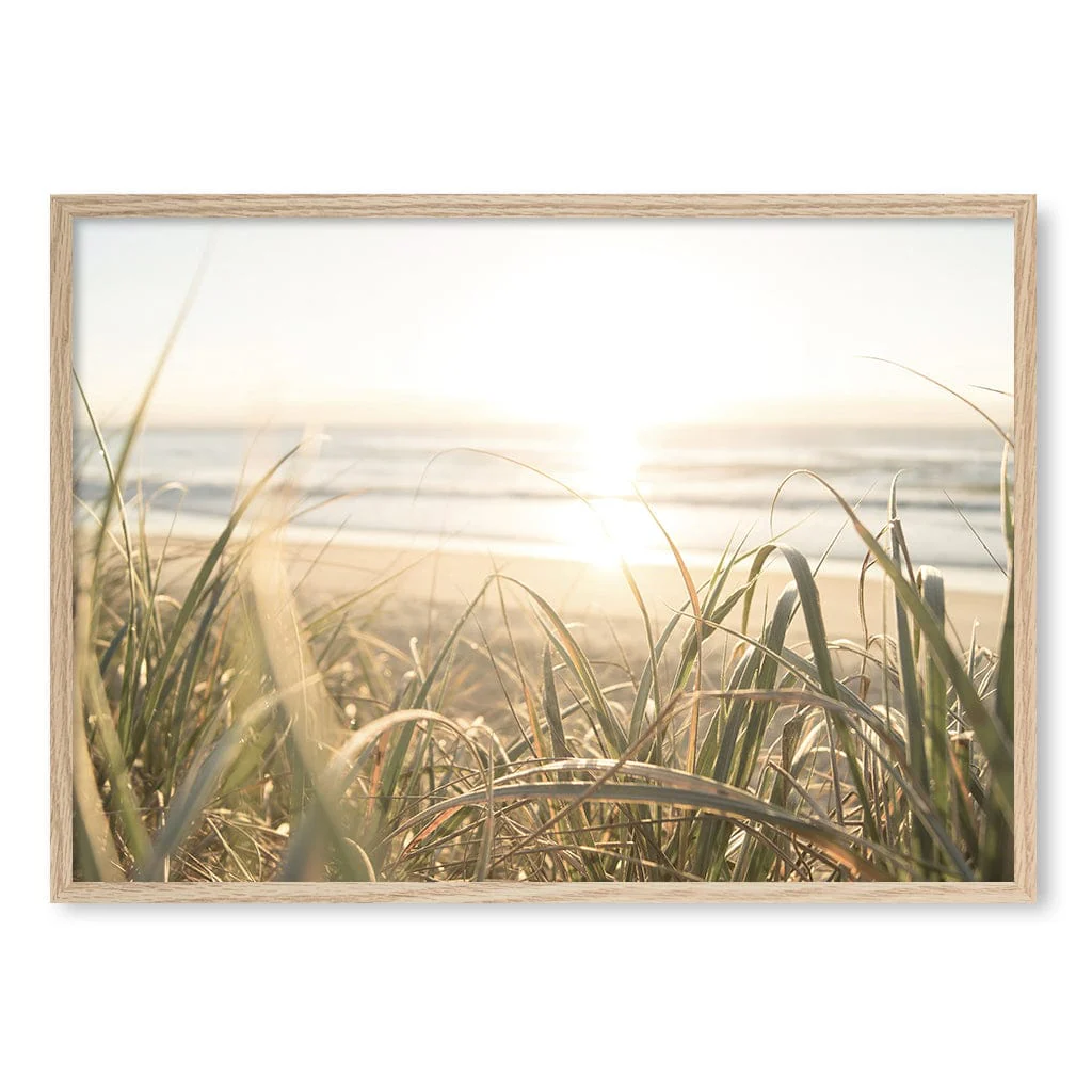 Beach Grass Sunset Wall Art Print - Image 24