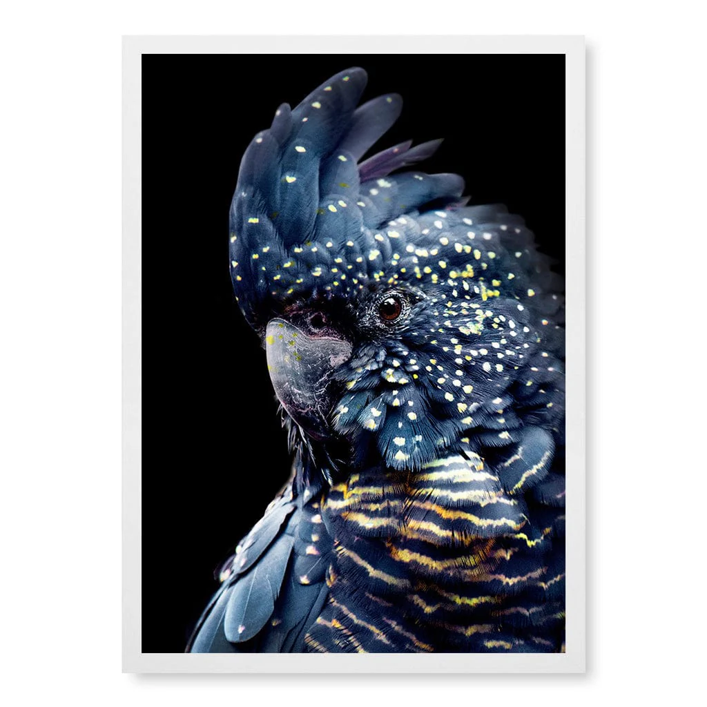 Black Cockatoo 2 Modern Wall Art Print - Image 18