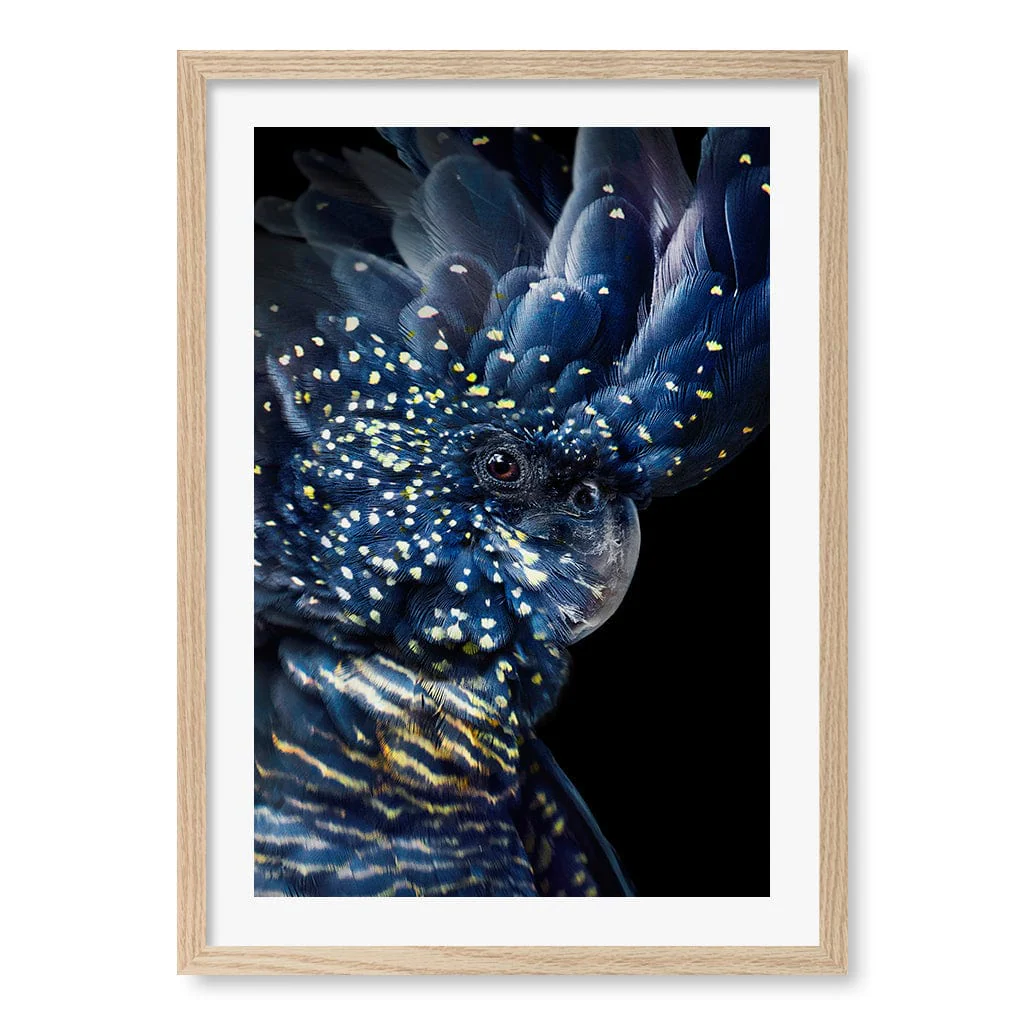 Black Cockatoo Modern Wall Art Print