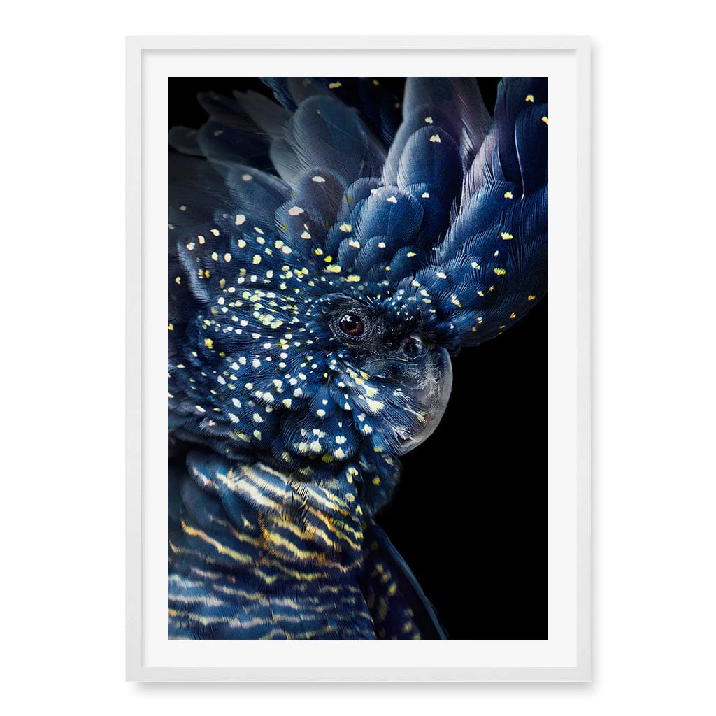 Black Cockatoo Modern Wall Art Print - Image 11
