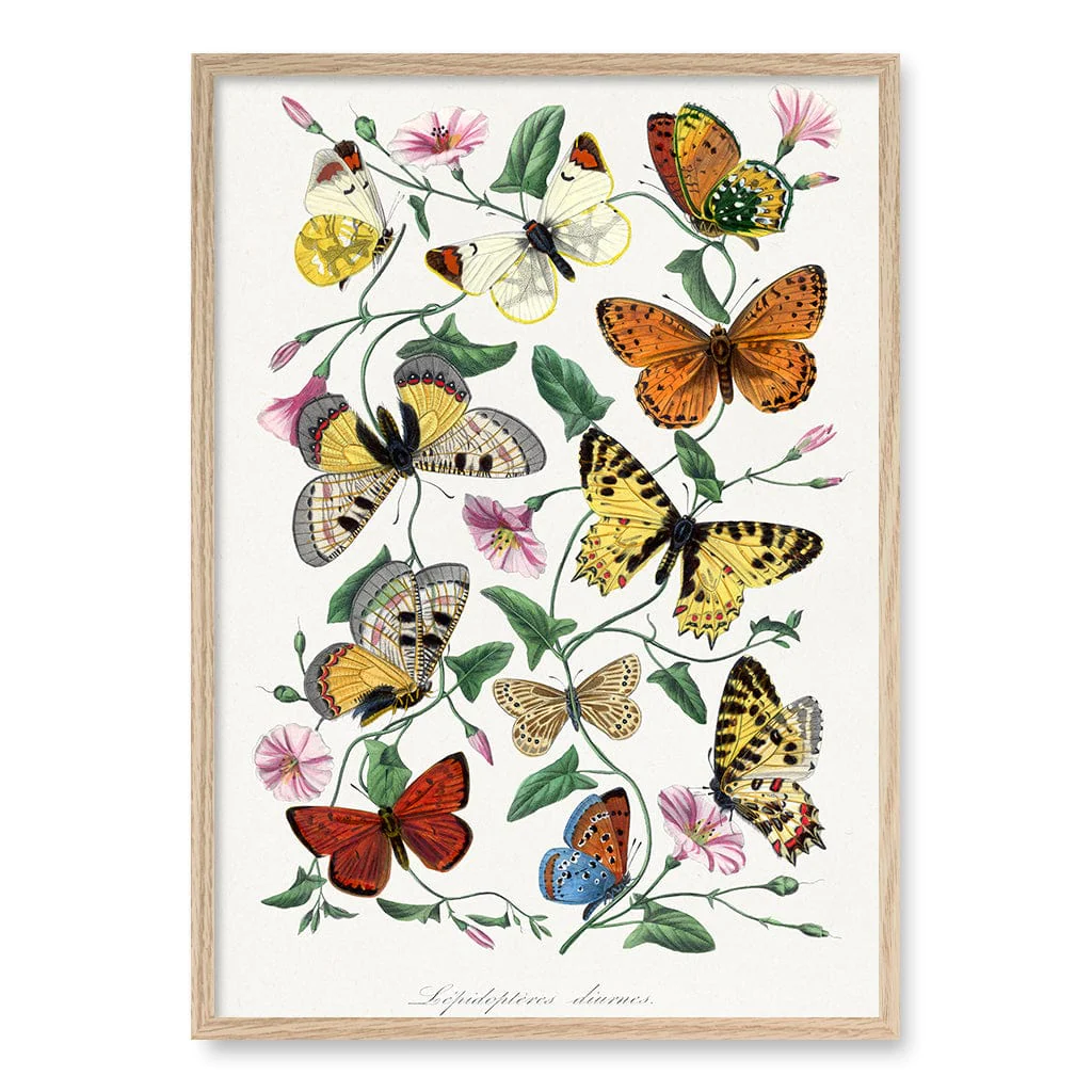 Butterfly & Moth Floral Art Print - Image 12