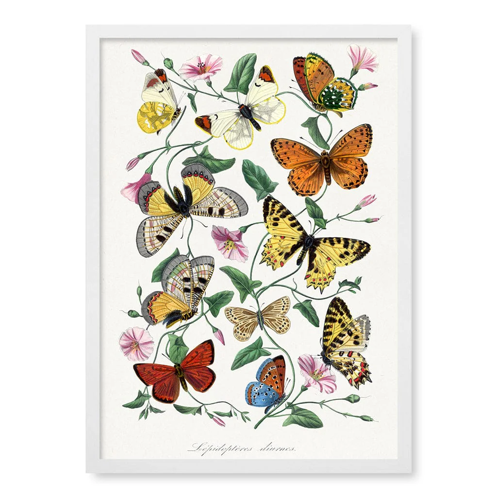 Butterfly & Moth Floral Art Print - Image 21
