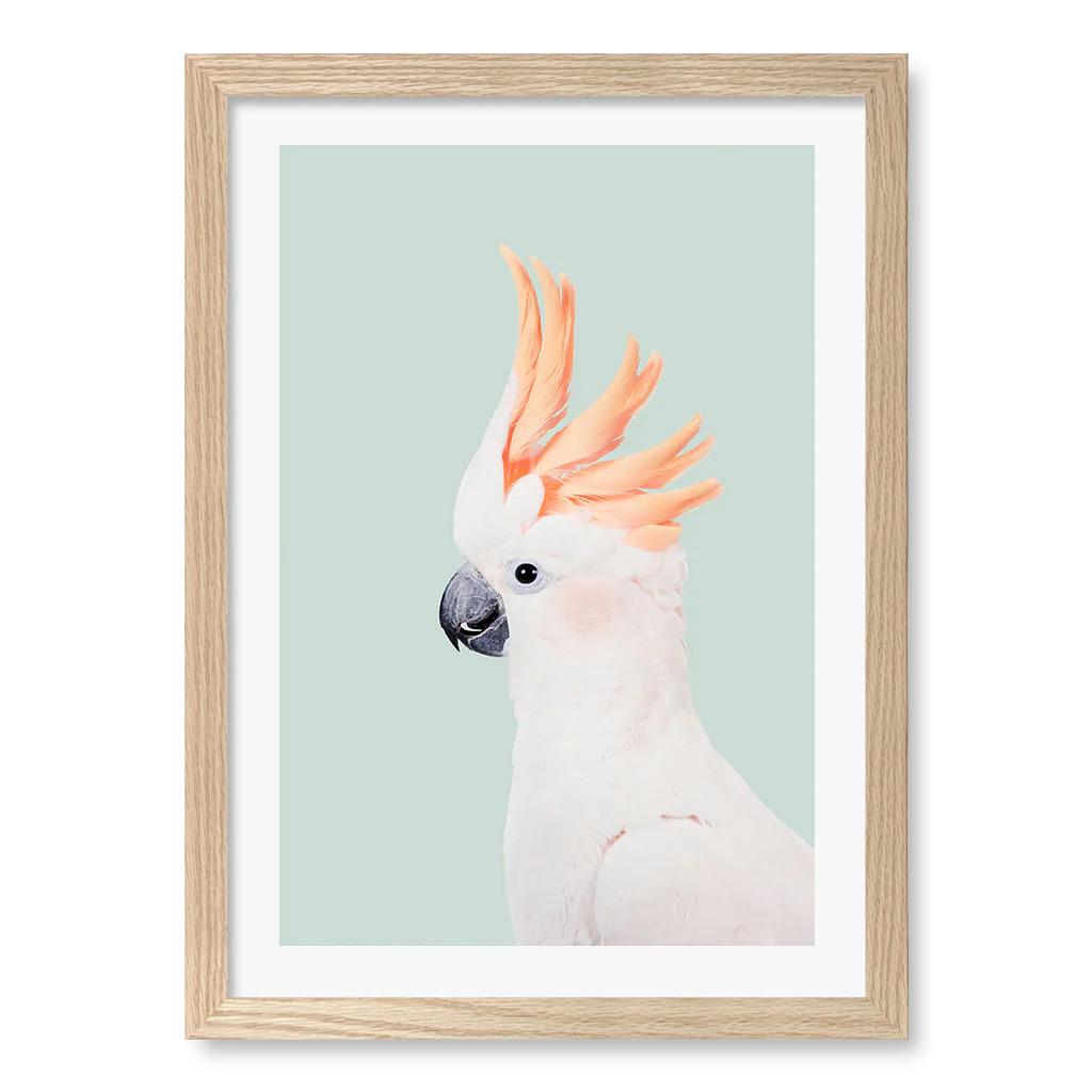 Cockatoo on Mint Wall Art Print by Kathrin Pienaar - Image 18