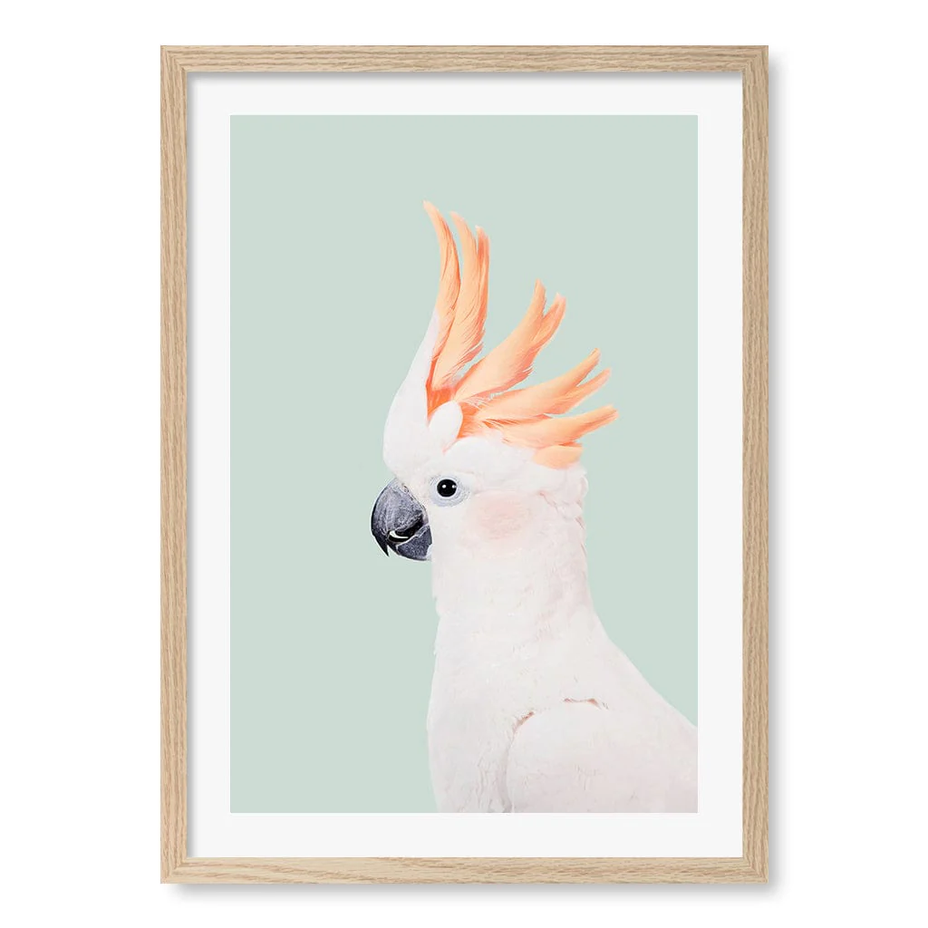 Cockatoo on Mint Wall Art Print by Kathrin Pienaar - Image 23