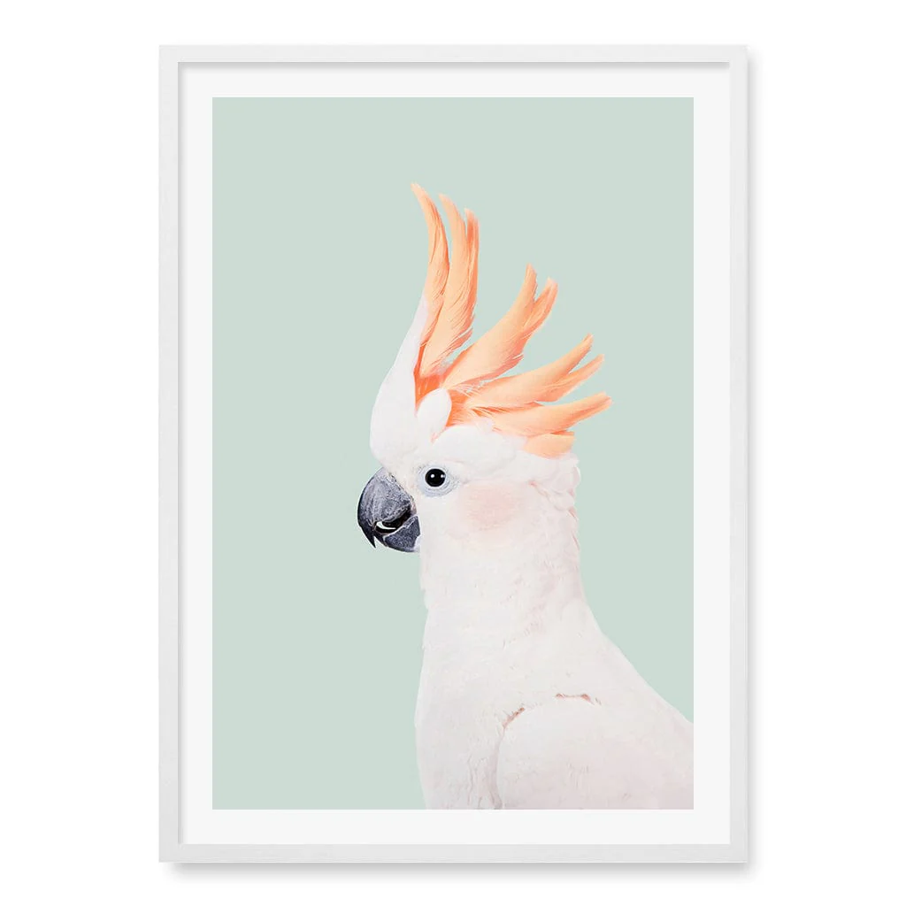 Cockatoo on Mint Wall Art Print by Kathrin Pienaar - Image 27
