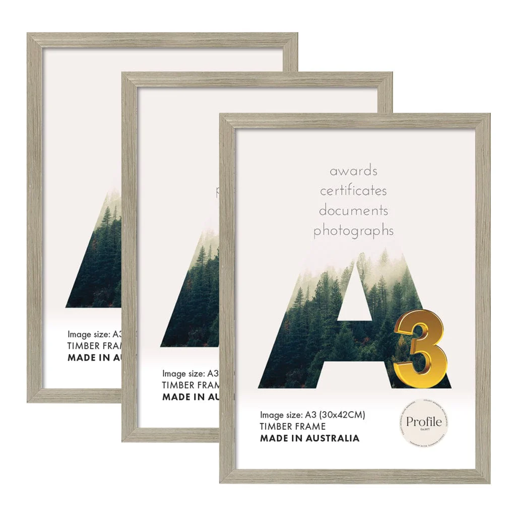 Elegant Stone Ash A3 Set of Frames (Bulk Frame Bundle 3 Pack)