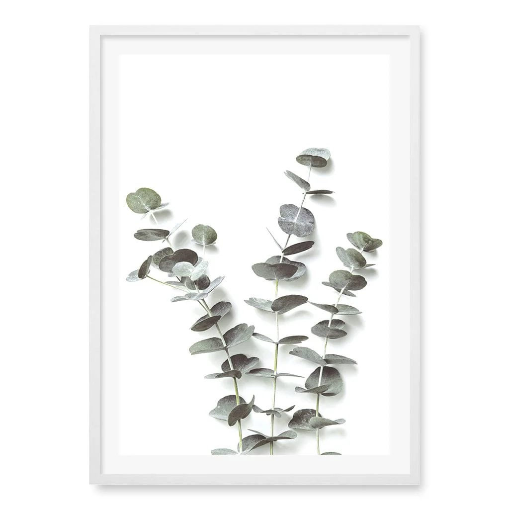 Eucalyptus Foliage Wall Art Print - Image 12