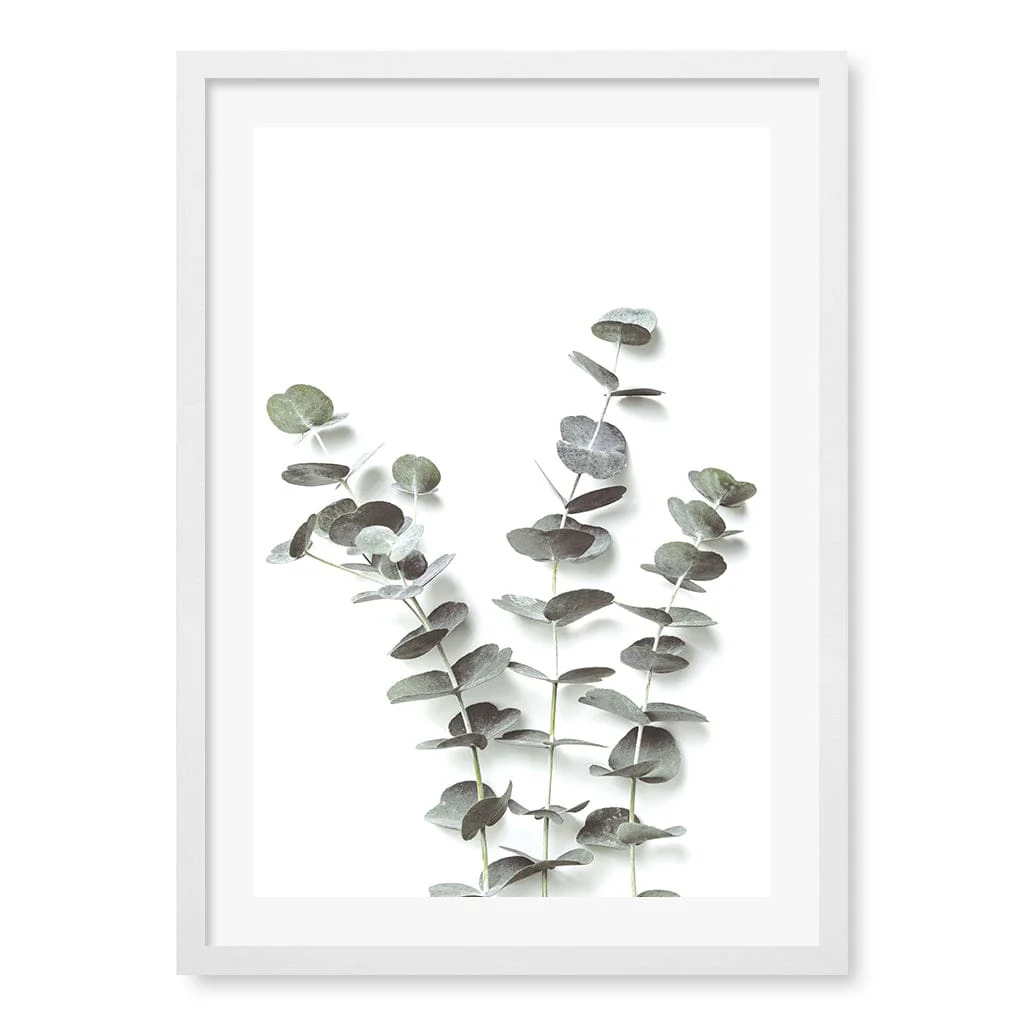 Eucalyptus Foliage Wall Art Print - Image 13