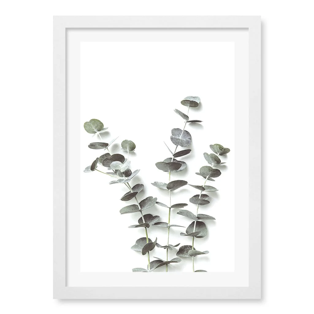 Eucalyptus Foliage Wall Art Print - Image 14