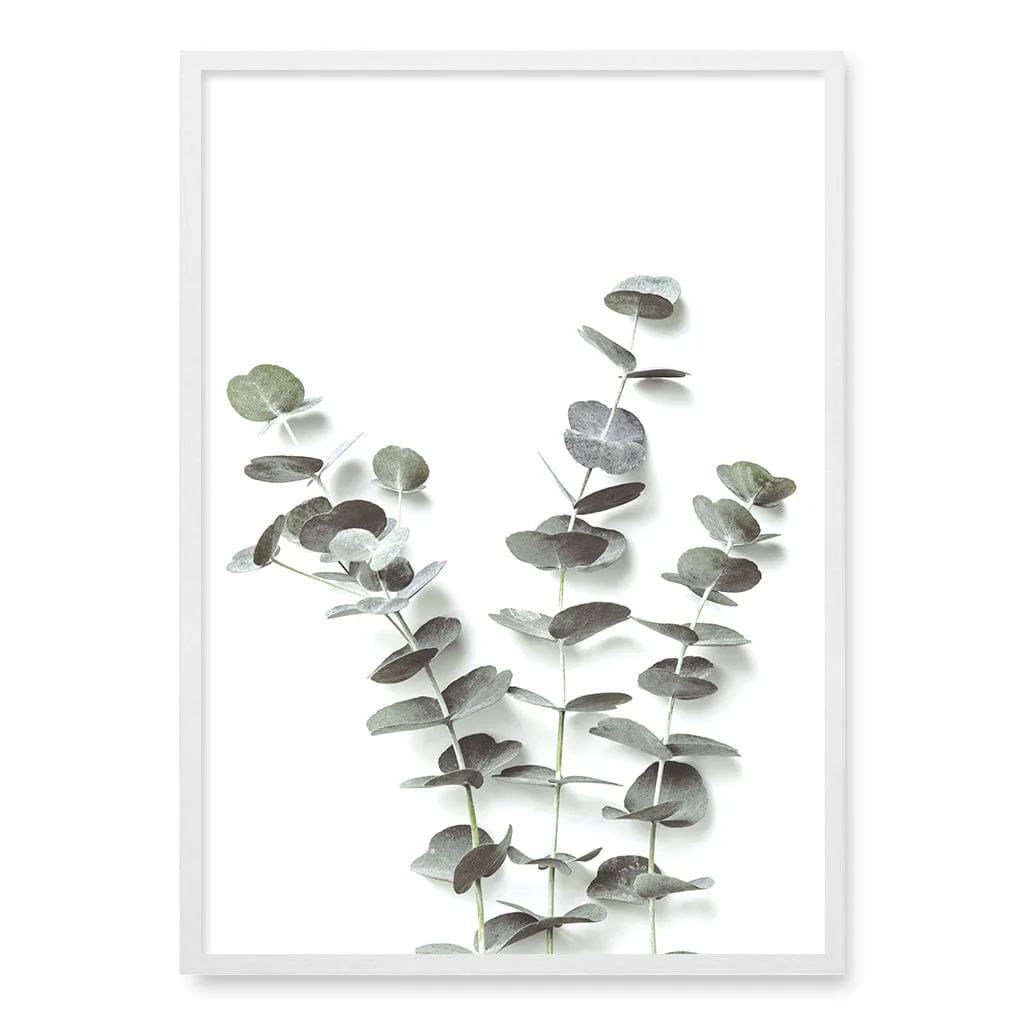 Eucalyptus Foliage Wall Art Print - Image 17
