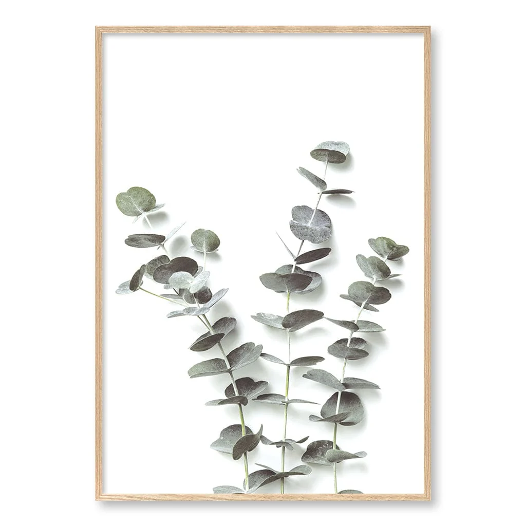 Eucalyptus Foliage Wall Art Print - Image 25