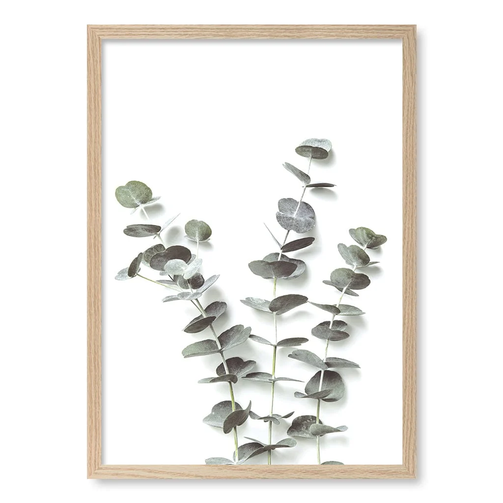 Eucalyptus Foliage Wall Art Print - Image 27