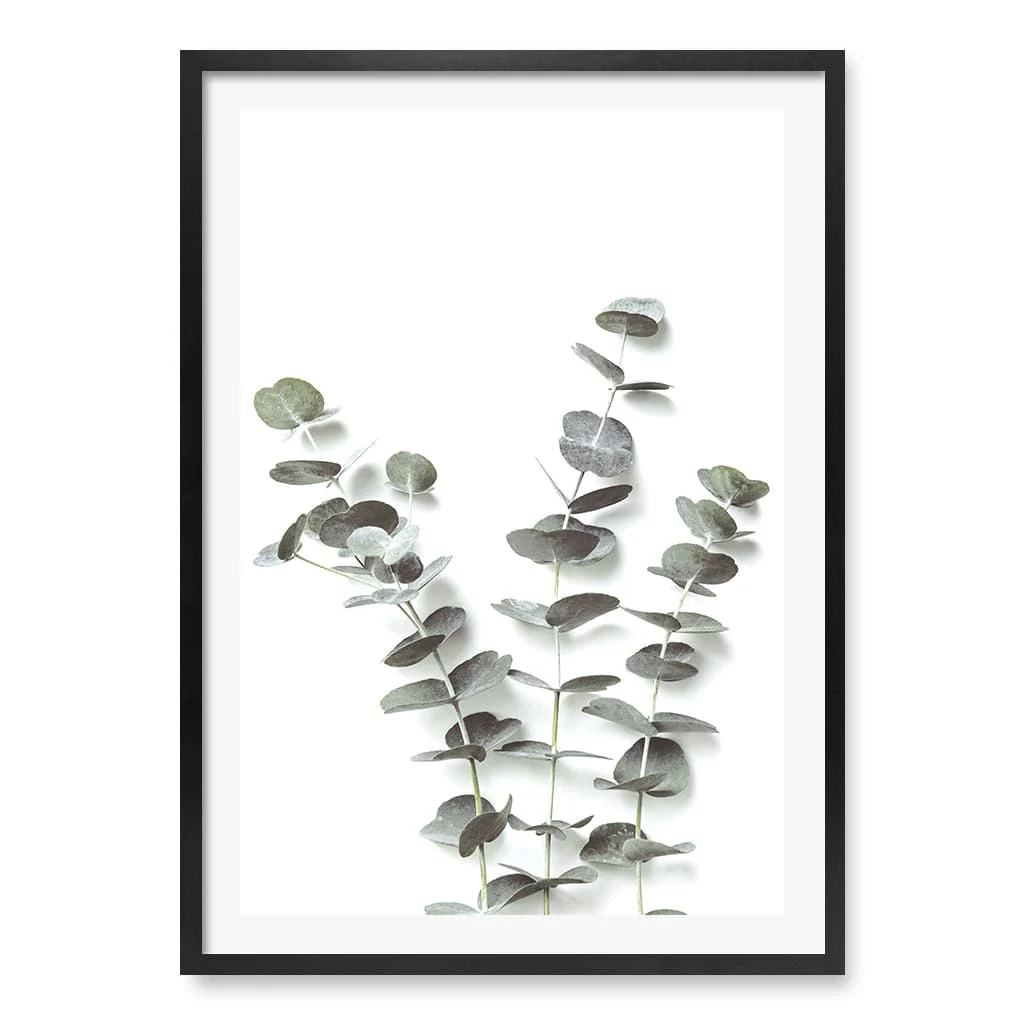 Eucalyptus Foliage Wall Art Print - Image 31