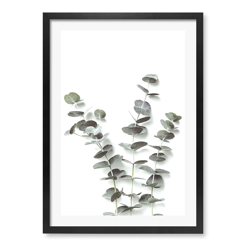 Eucalyptus Foliage Wall Art Print - Image 32
