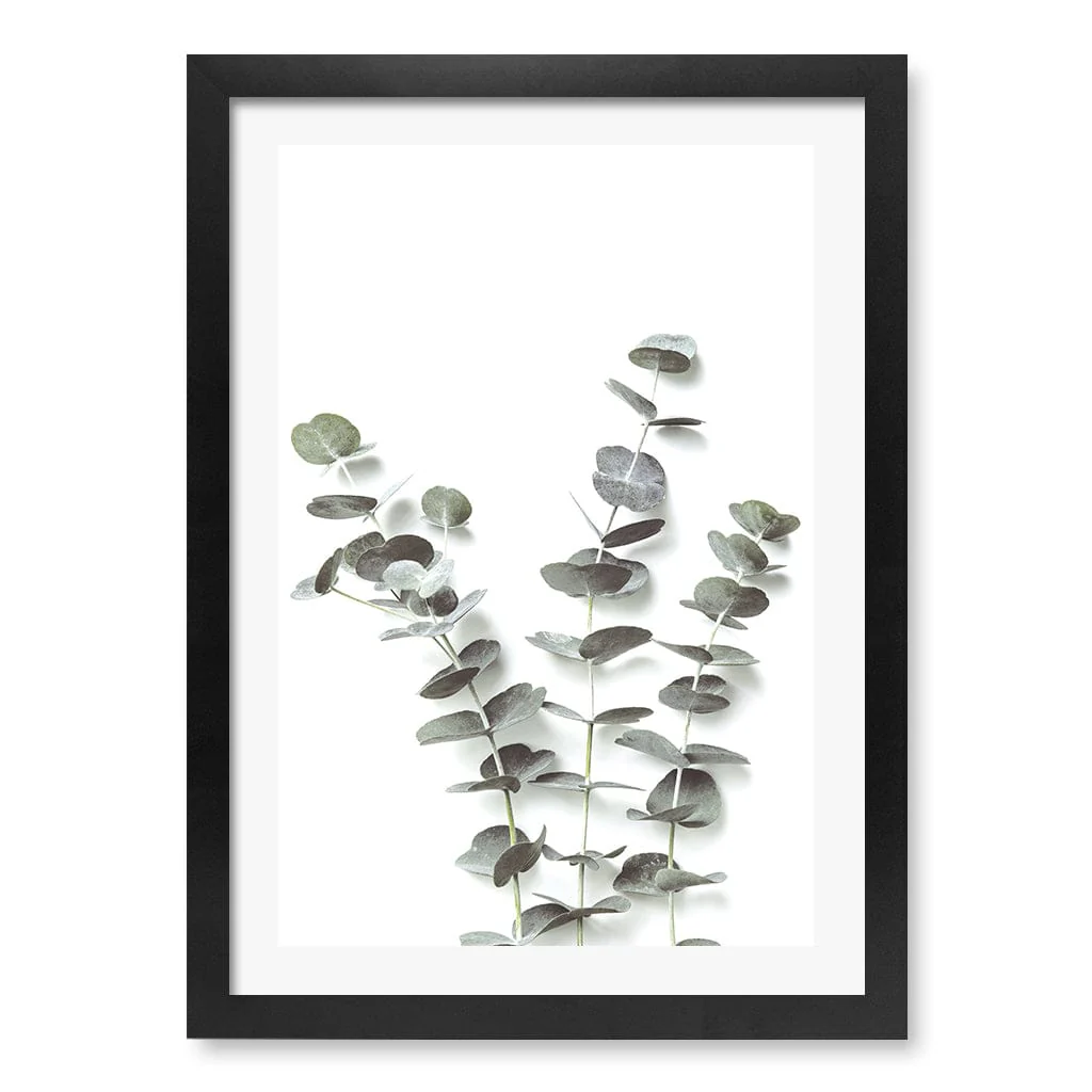 Eucalyptus Foliage Wall Art Print - Image 33
