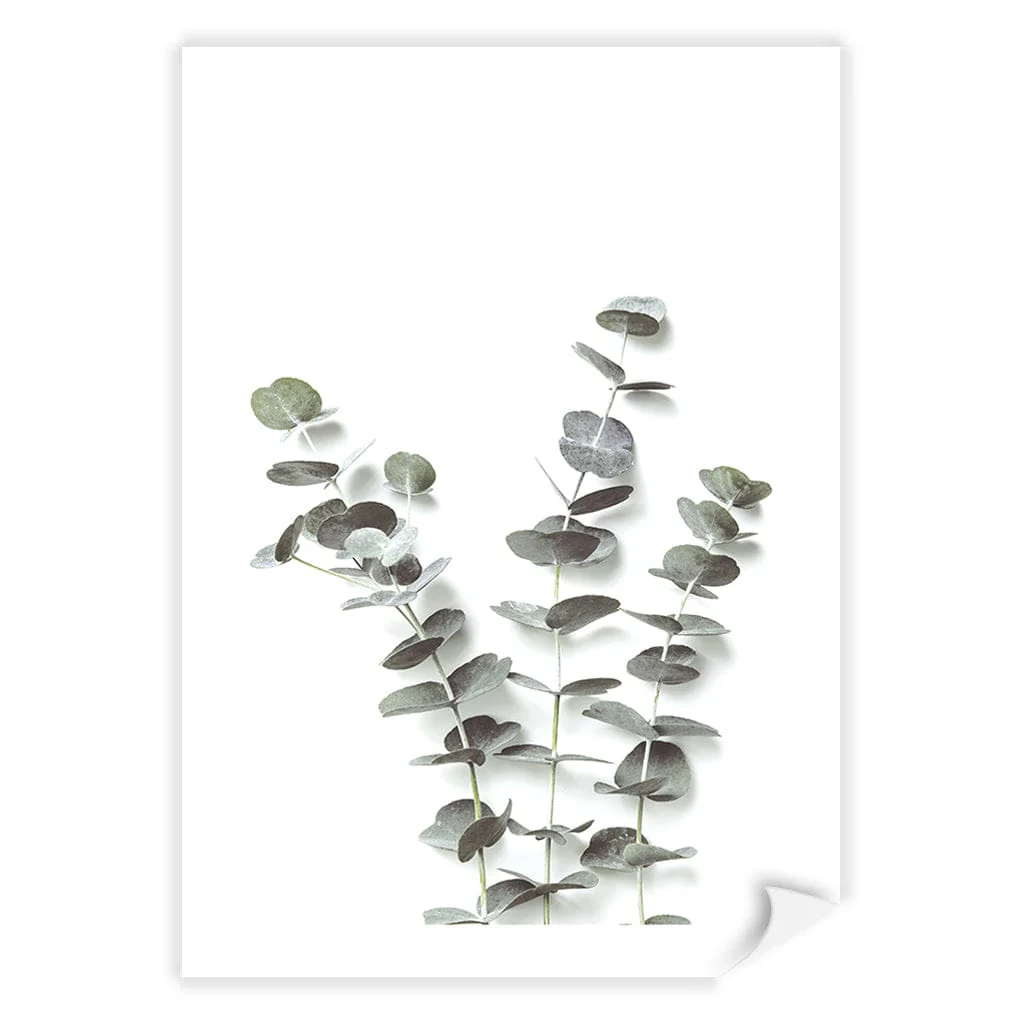 Eucalyptus Foliage Wall Art Print - Image 9