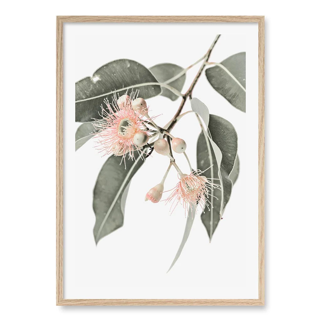 Eucalyptus Wildflowers Wall Art Print - Image 20
