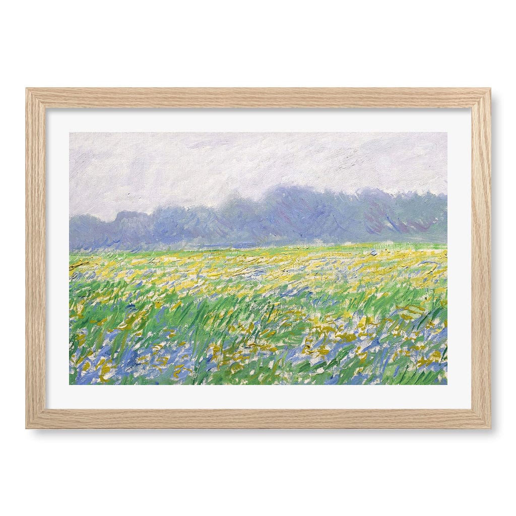 Field of Irises - Claude Monet Art Print - Image 23