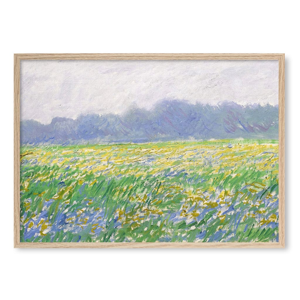 Field of Irises - Claude Monet Art Print - Image 26