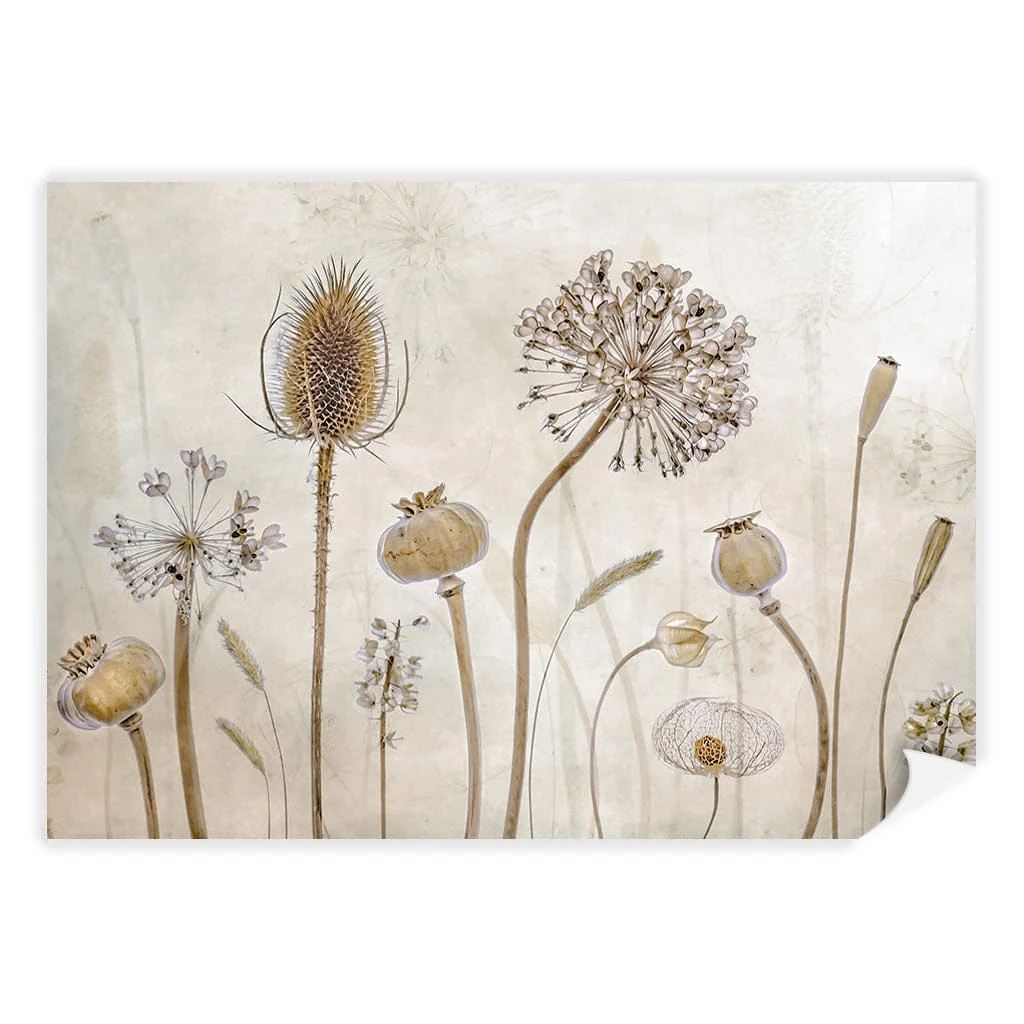 Growing Old Floral Wall Art Print by Mandy Disher - Image 15