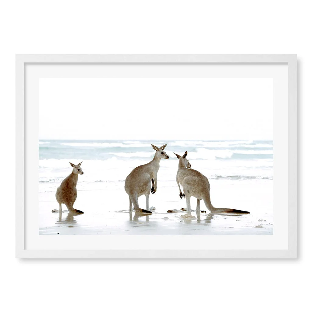 Kangaroo Beach Wall Art Print - Image 13