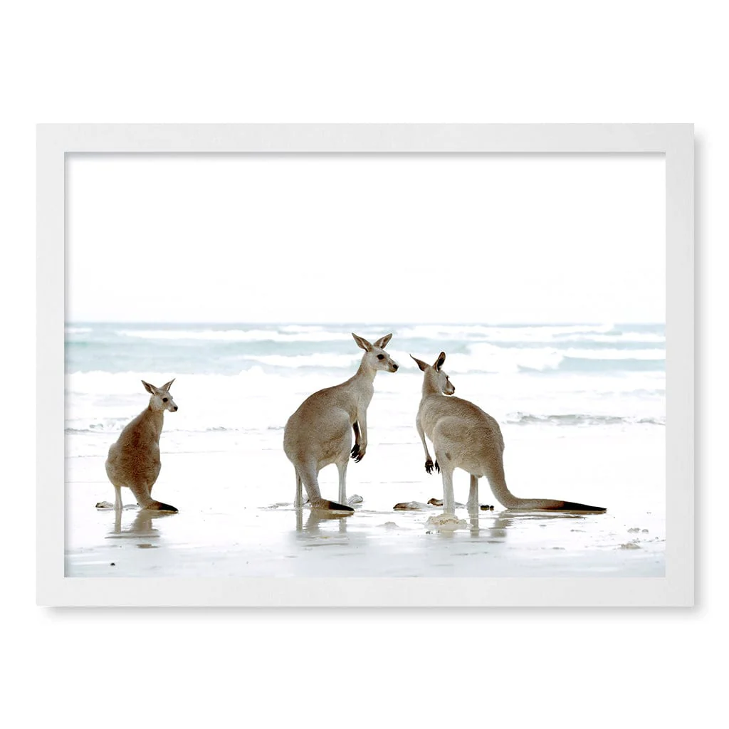 Kangaroo Beach Wall Art Print - Image 19