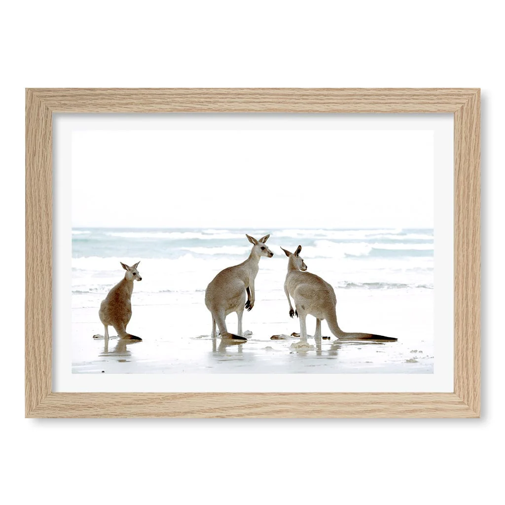 Kangaroo Beach Wall Art Print - Image 24