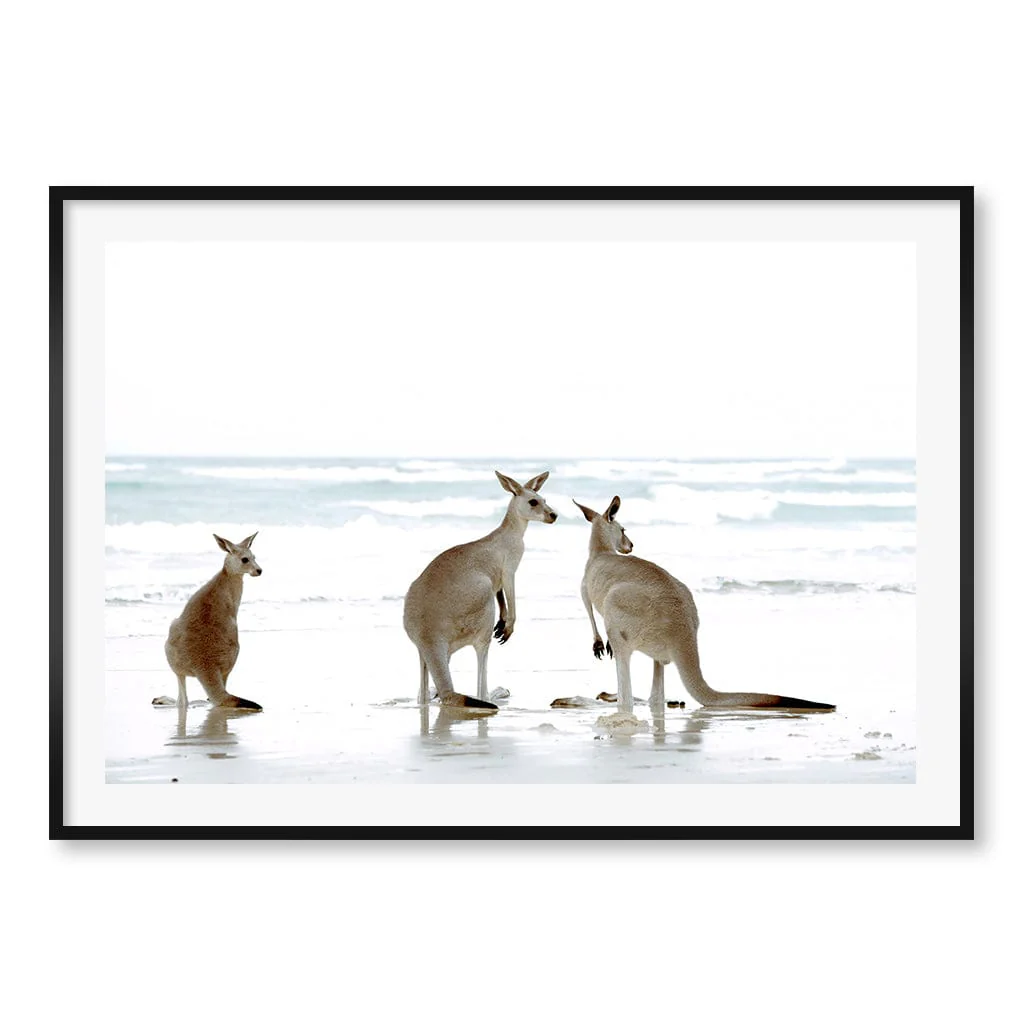 Kangaroo Beach Wall Art Print - Image 29