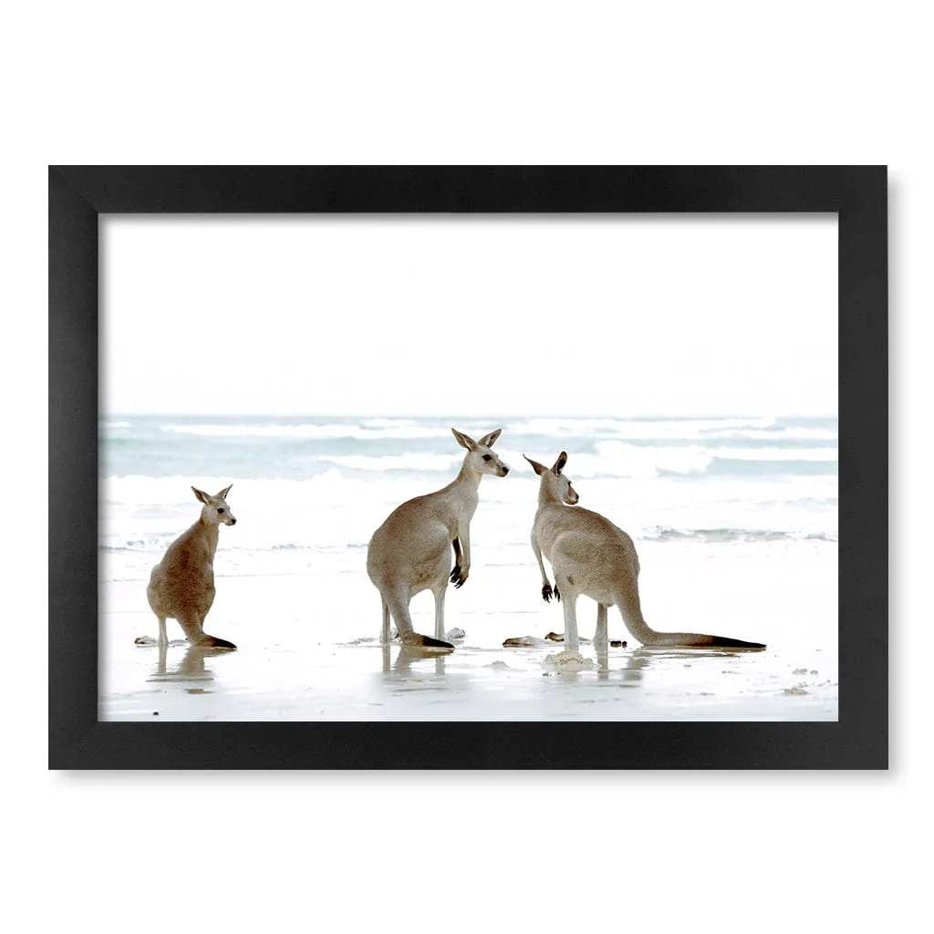 Kangaroo Beach Wall Art Print - Image 38