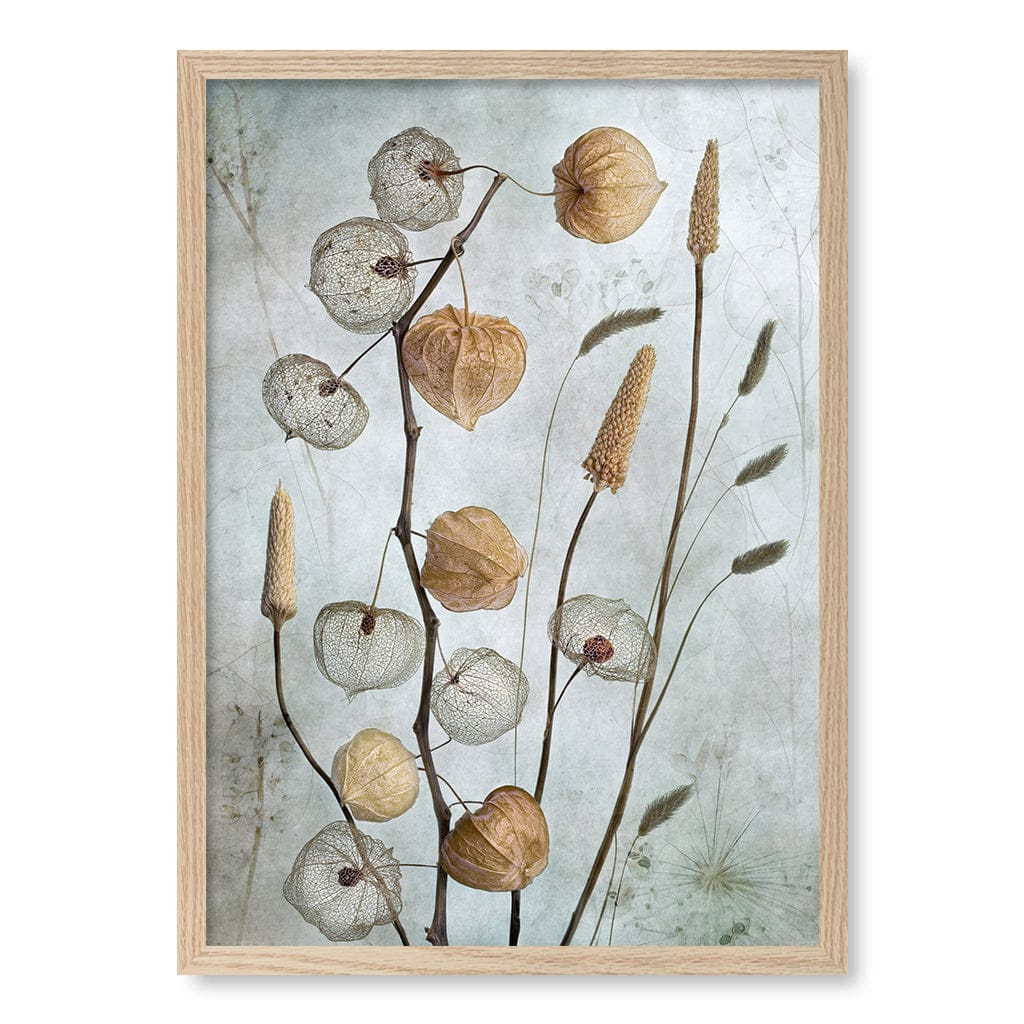 Lanterns Floral Wall Art Print by Mandy Disher - Image 5