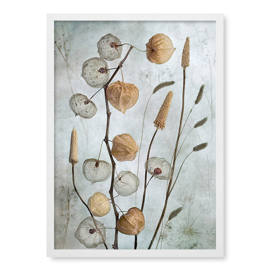 Lanterns Floral Wall Art Print by Mandy Disher - Image 7