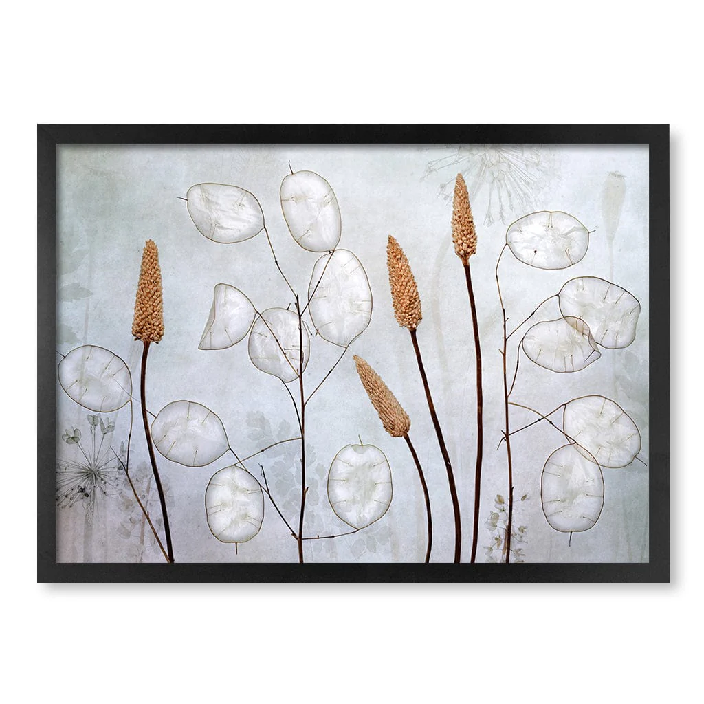 Lunaria Floral Wall Art Print by Mandy Disher - Image 13
