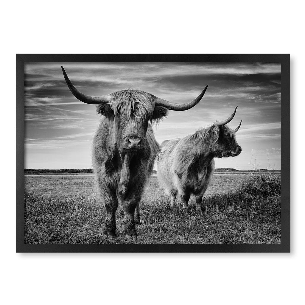 Majestic Highland Cows Wall Art Print - Image 12