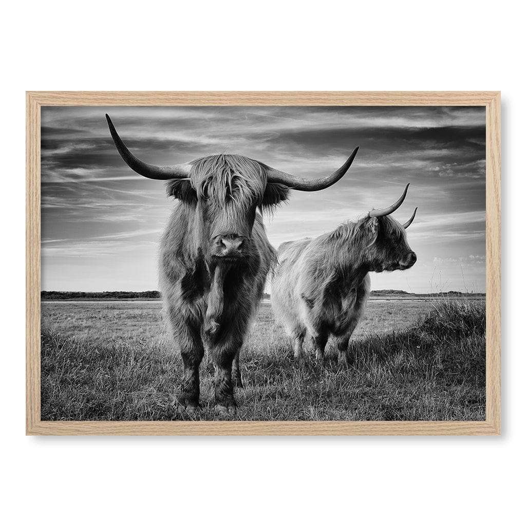 Majestic Highland Cows Wall Art Print - Image 13