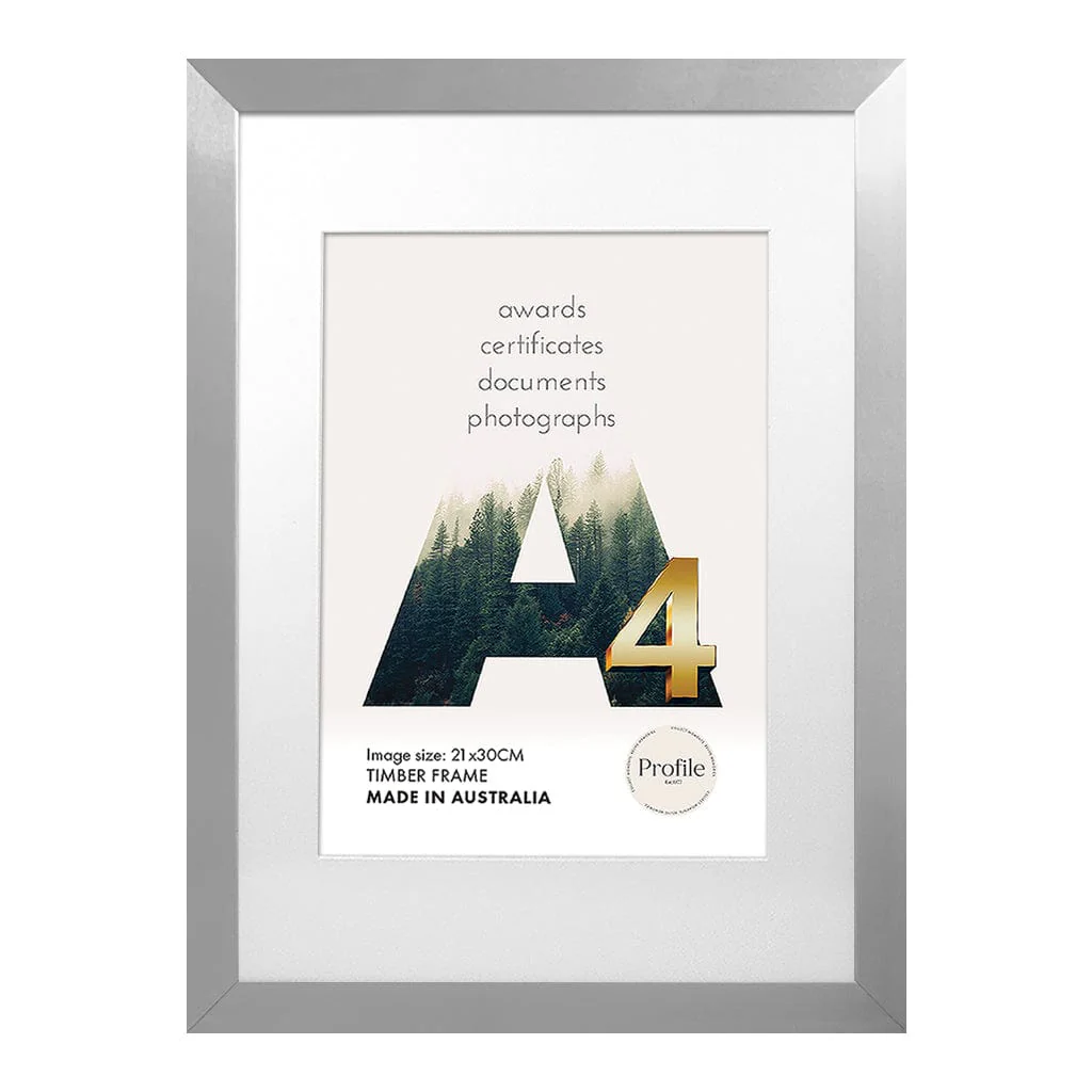 Modern Narrow Silver Certificate Frame - Image 4
