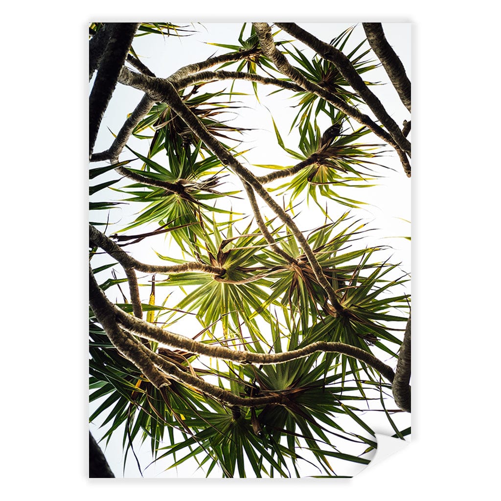 Noosa Palms Wall Art Print - Image 10