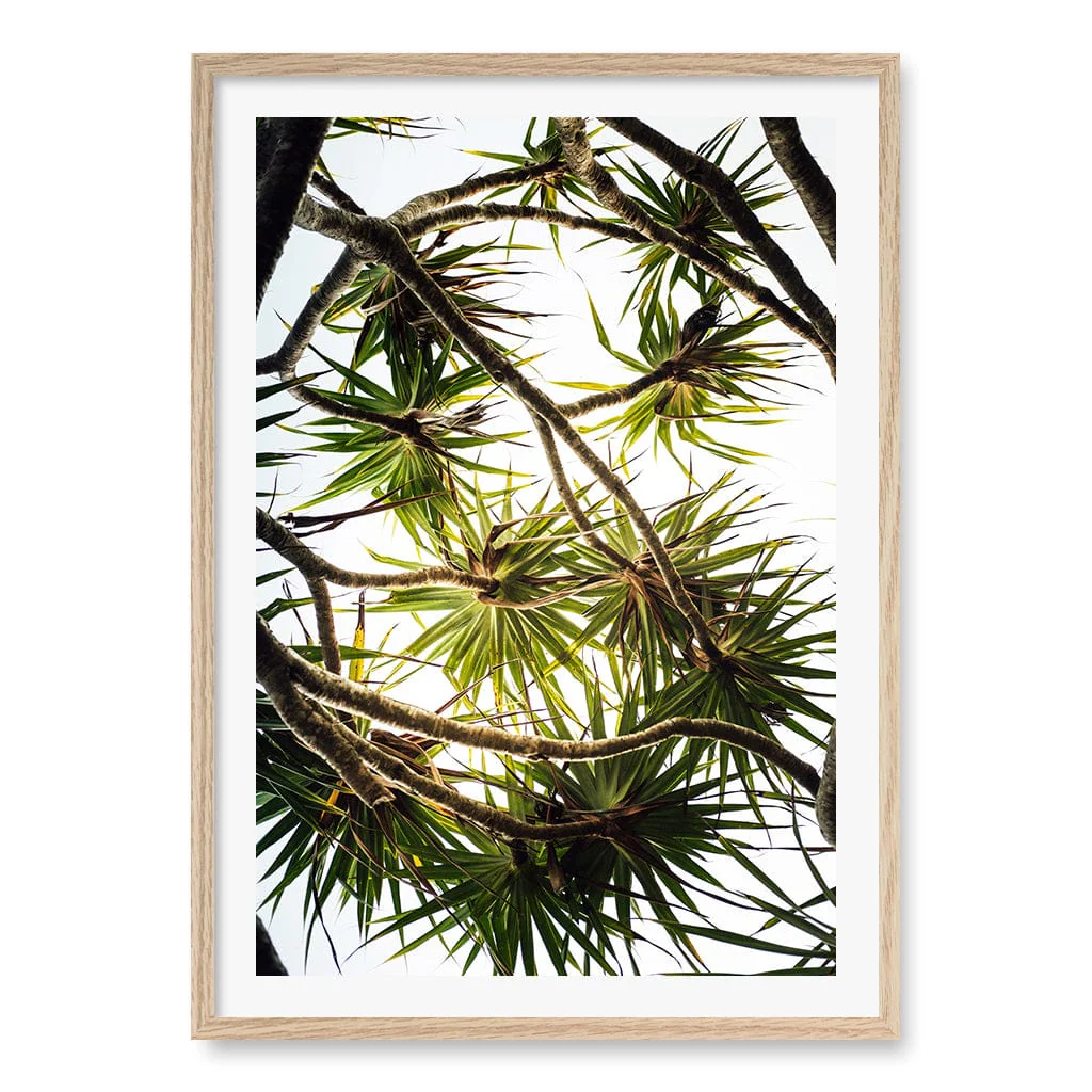 Noosa Palms Wall Art Print - Image 19