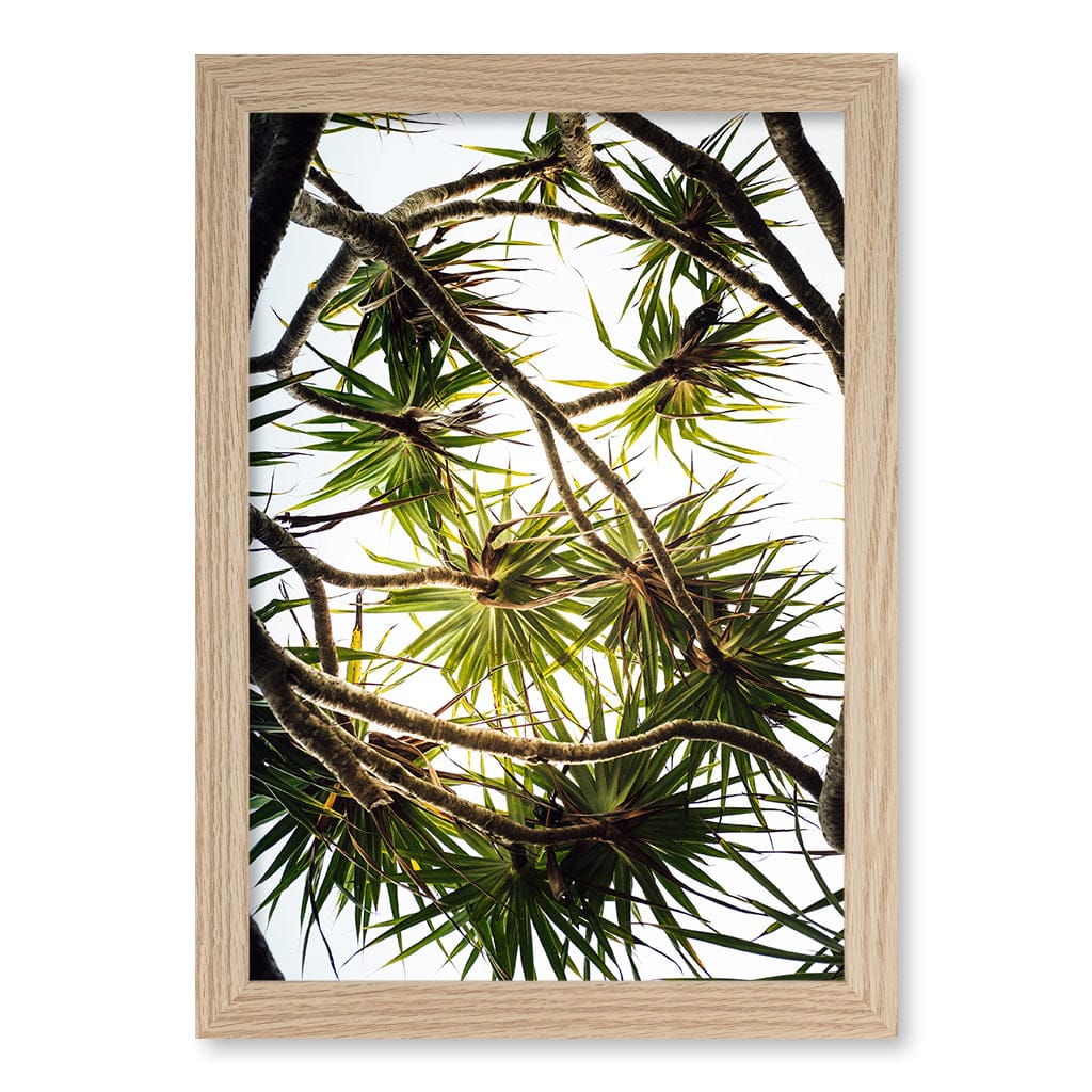 Noosa Palms Wall Art Print - Image 25