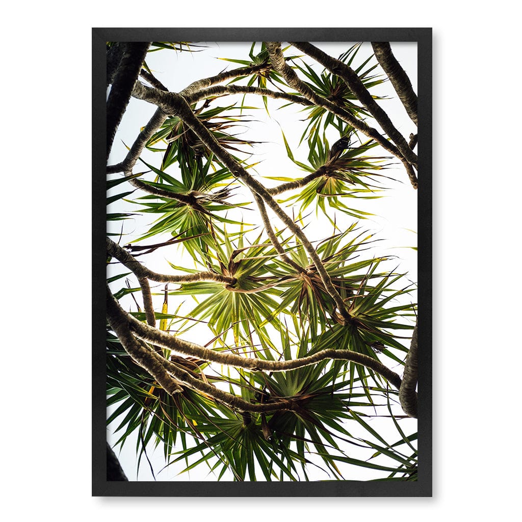 Noosa Palms Wall Art Print - Image 31