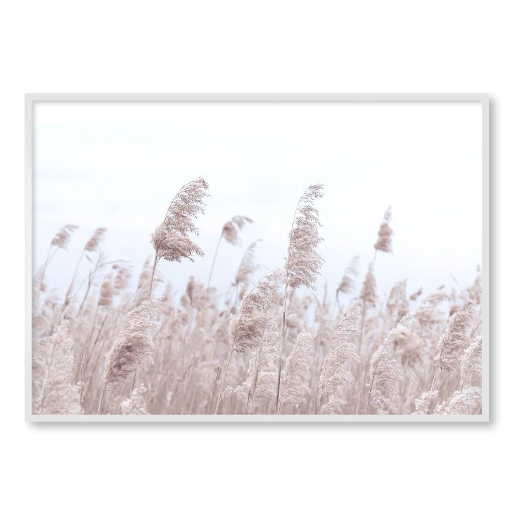 Pampas Grass 1 Wall Art Print - Image 16