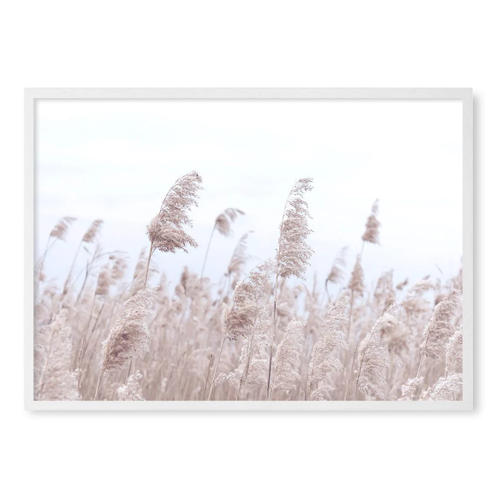 Pampas Grass 1 Wall Art Print - Image 17