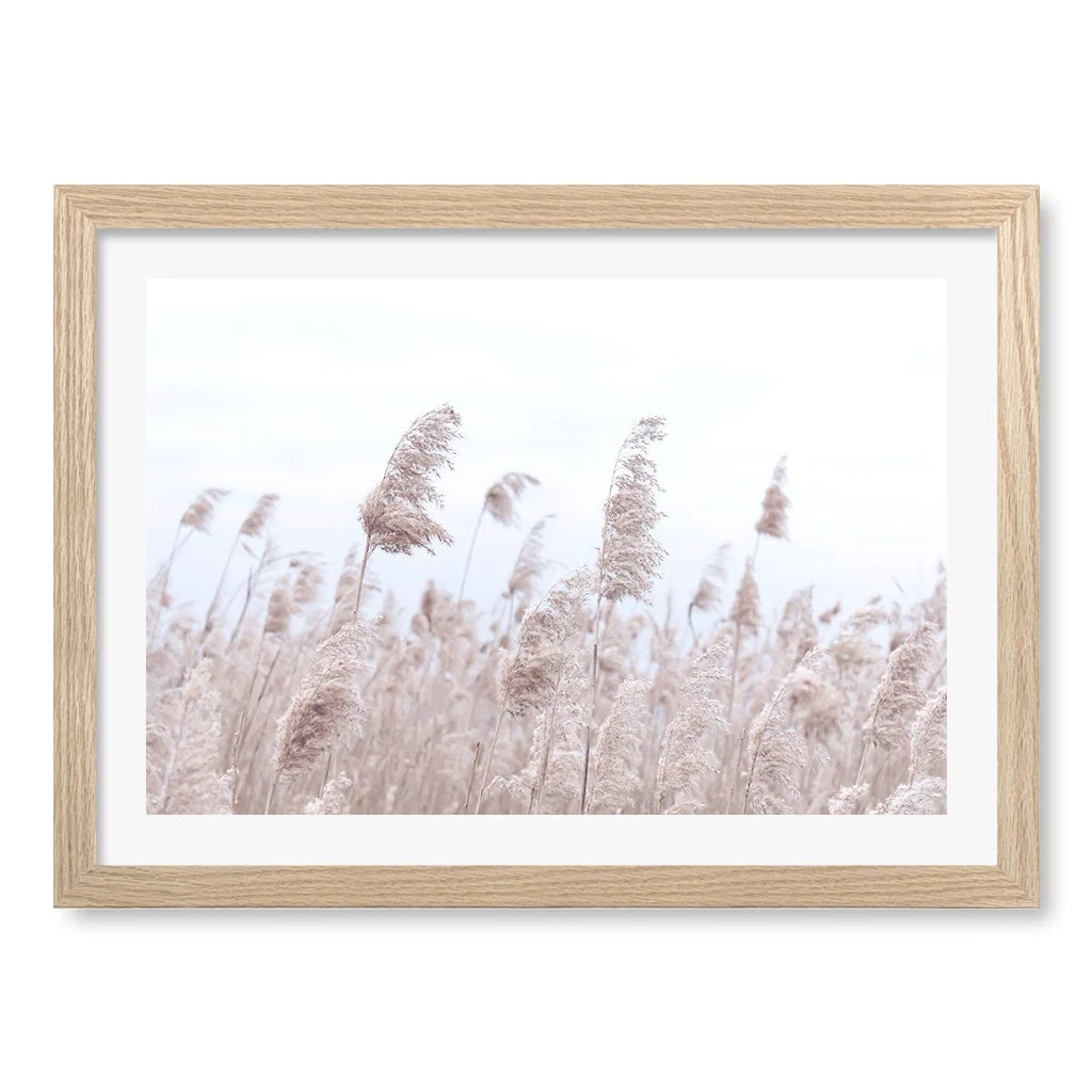 Pampas Grass 1 Wall Art Print - Image 24