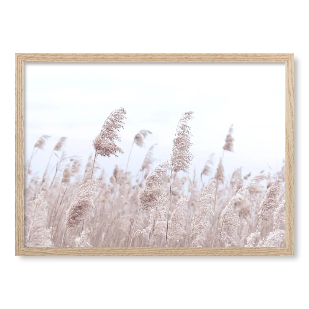 Pampas Grass 1 Wall Art Print - Image 27