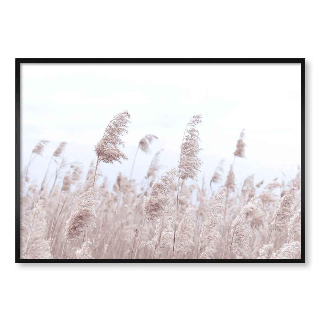 Pampas Grass 1 Wall Art Print - Image 37