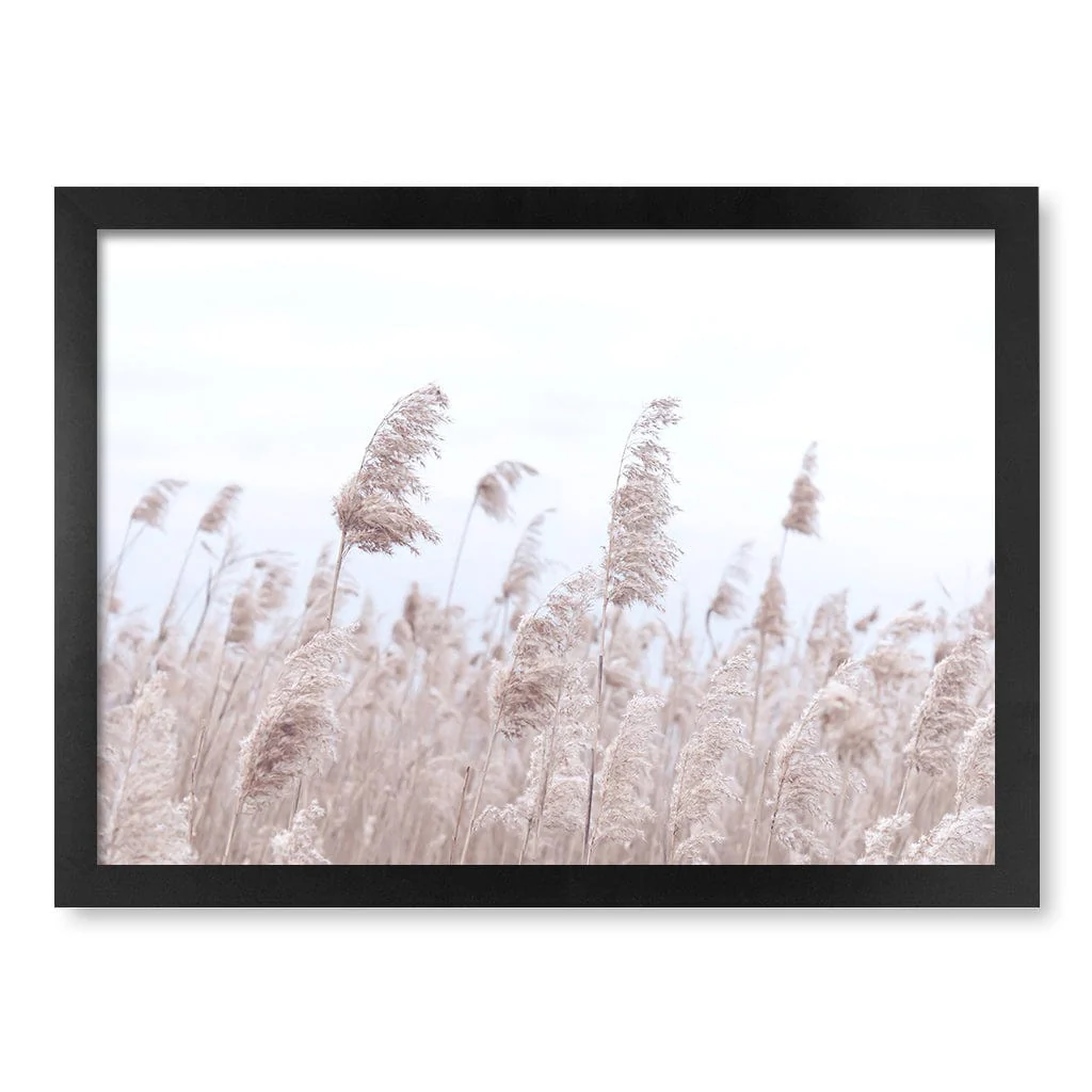 Pampas Grass 1 Wall Art Print - Image 38
