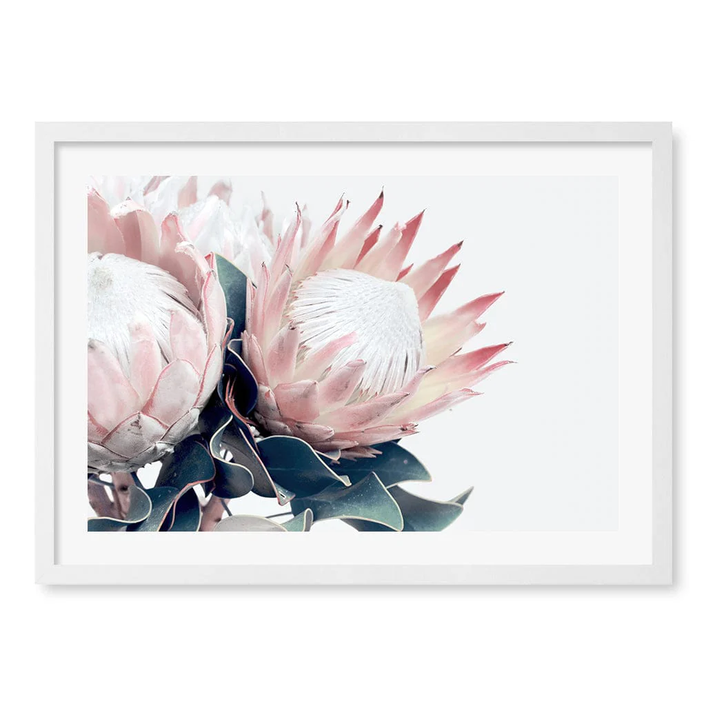 Protea Wall Art Print – Protea Flowers Botanical Artwork - Image 11